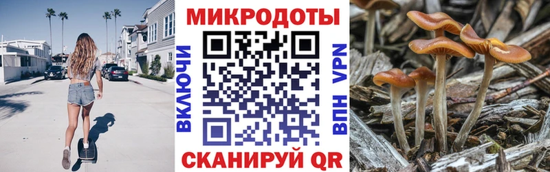 Купить где  Кемерово  Галлюциногенные грибы мухоморы 